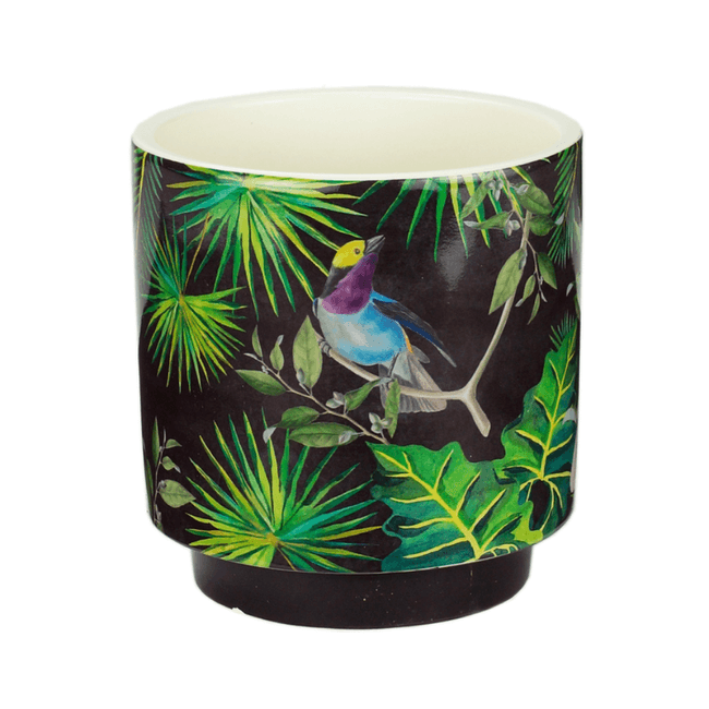 Vaso-Ceramica-12x13cm-Tropical-60854---WOLFF