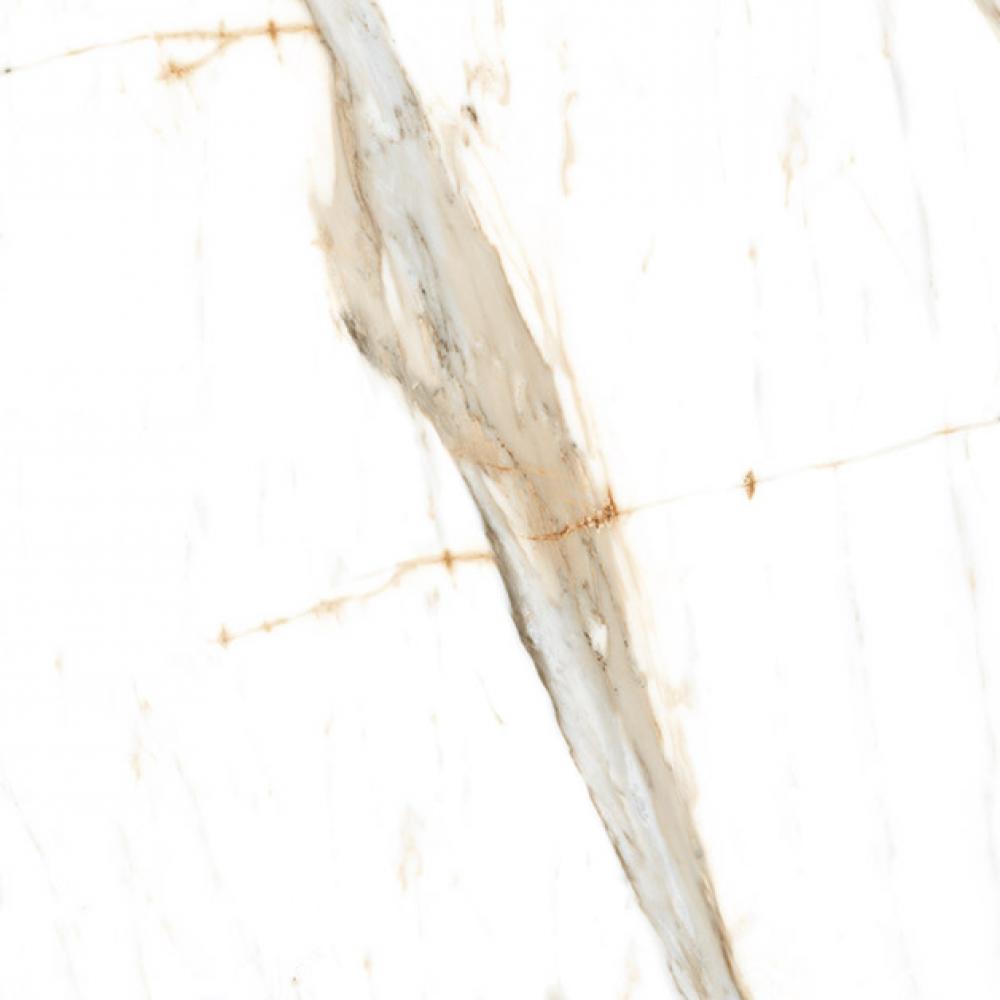 ppi71040r-f6-dfdf78b54e-1000_x_1000